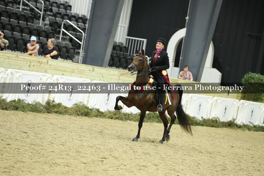 Proof 24R13_22463