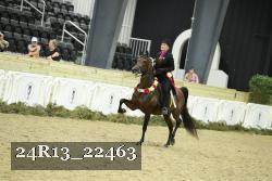 24R13_22463 proof