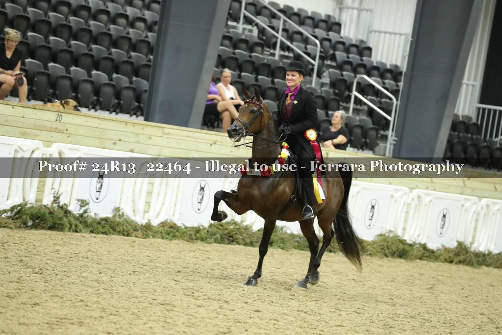 Proof 24R13_22464