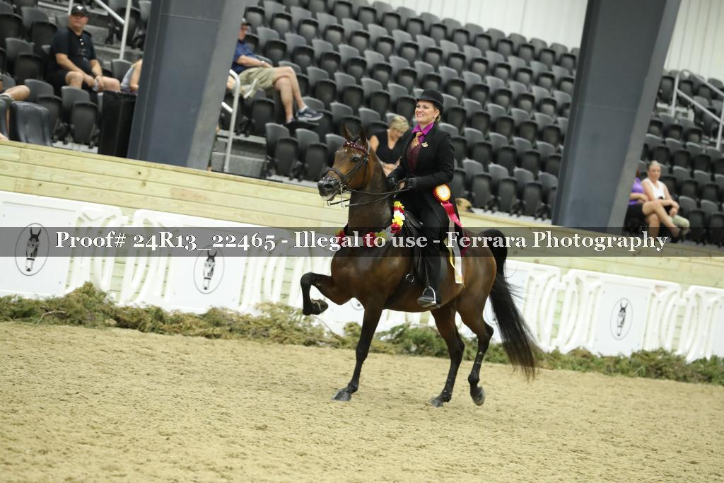 Proof 24R13_22465