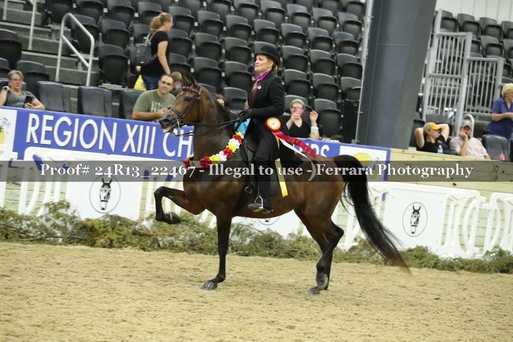 Proof 24R13_22467