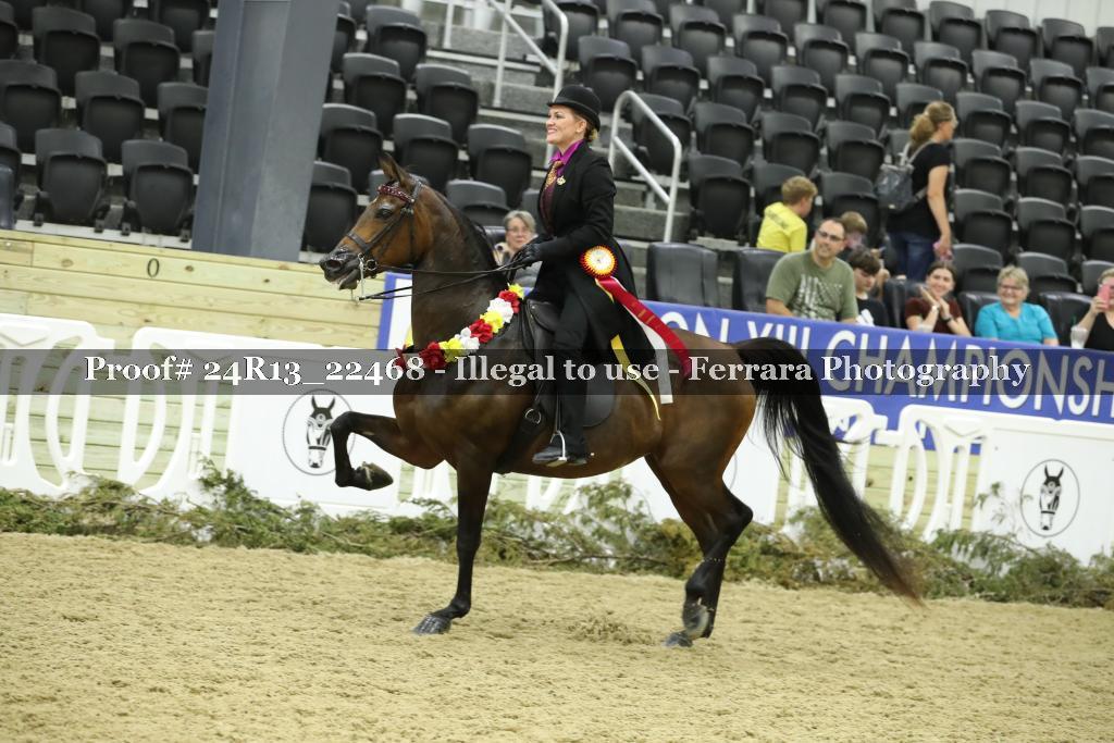 Proof 24R13_22468