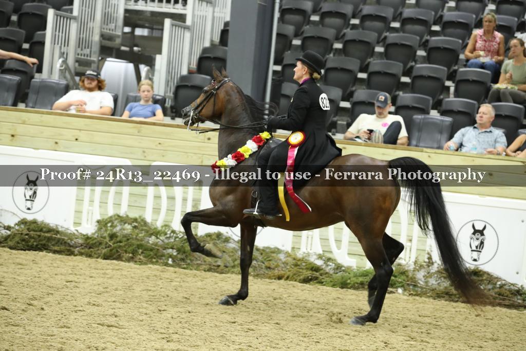 Proof 24R13_22469