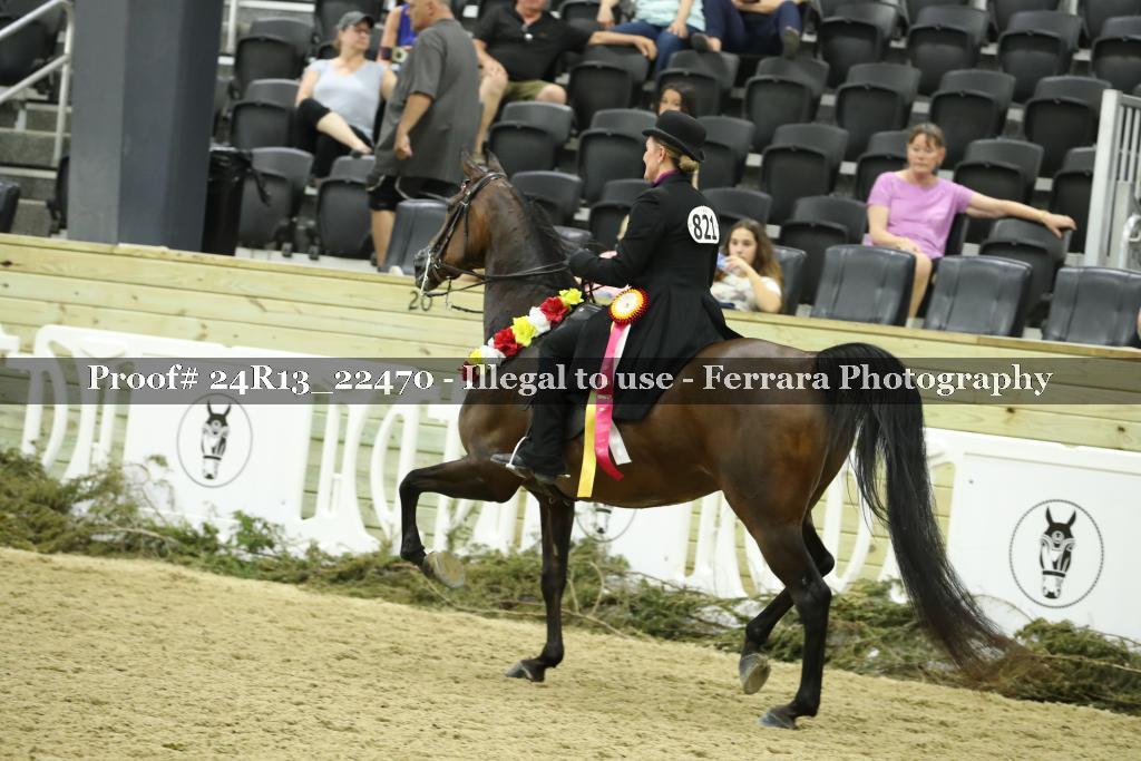 Proof 24R13_22470