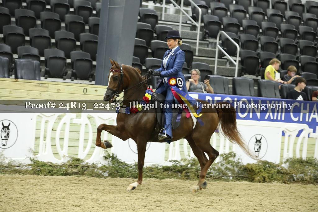 Proof 24R13_22473
