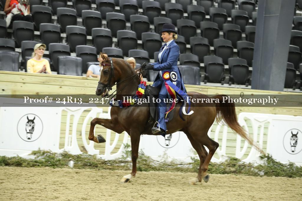 Proof 24R13_22474