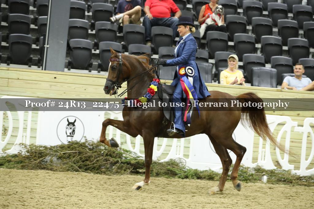 Proof 24R13_22475
