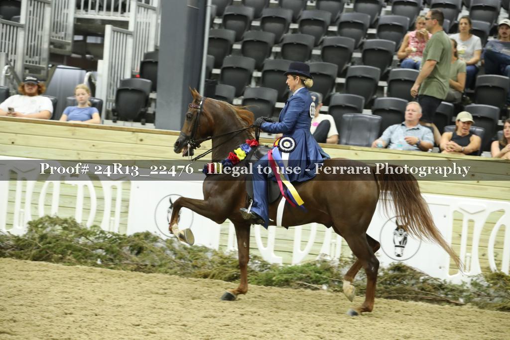 Proof 24R13_22476