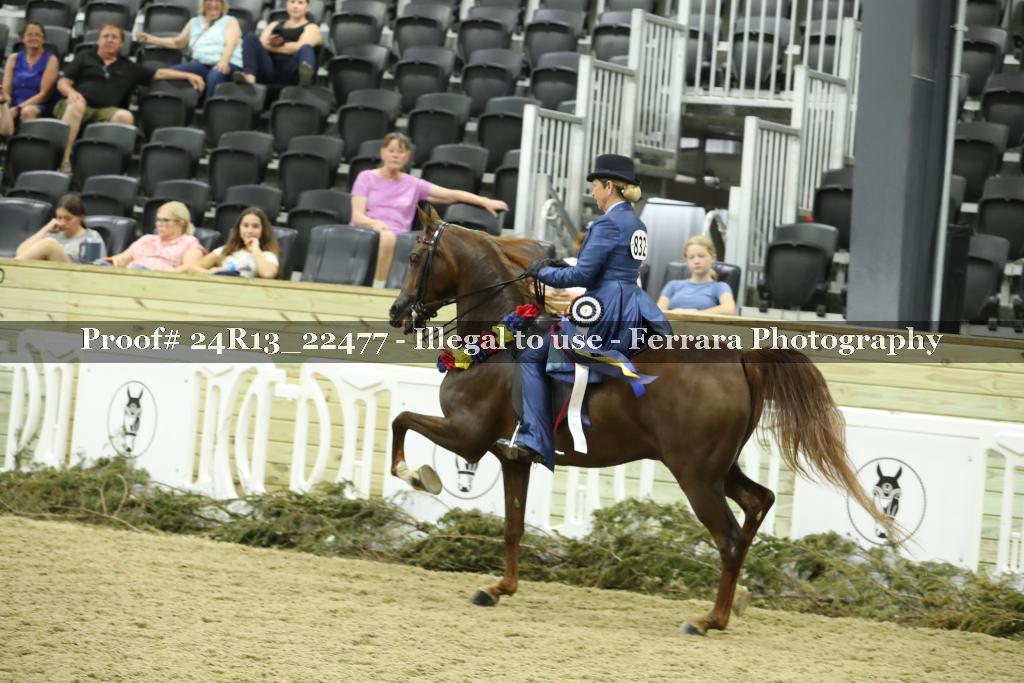 Proof 24R13_22477