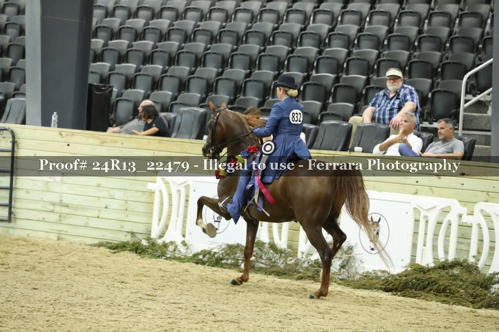 Proof 24R13_22479