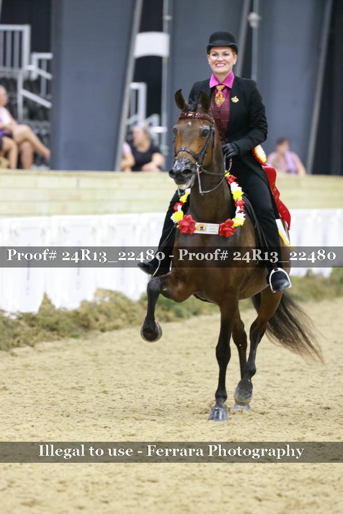 Proof 24R13_22480