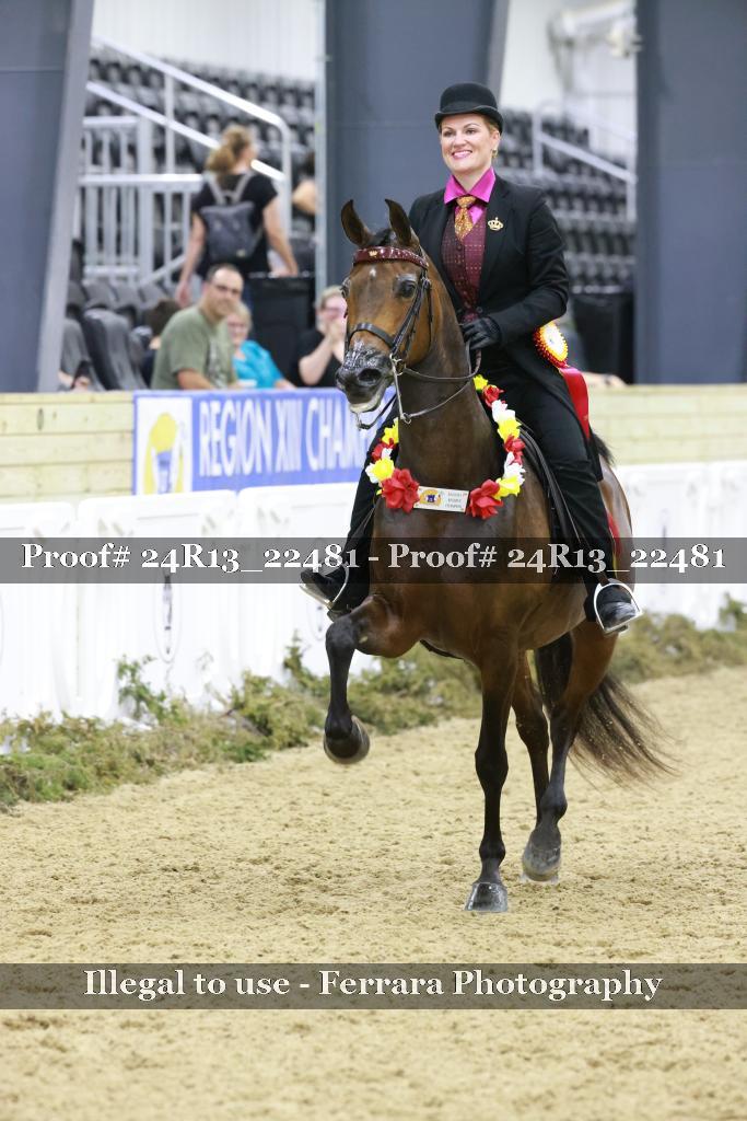 Proof 24R13_22481