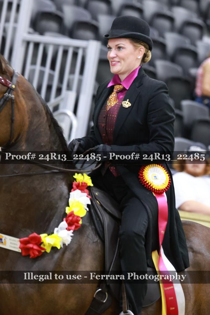 Proof 24R13_22485