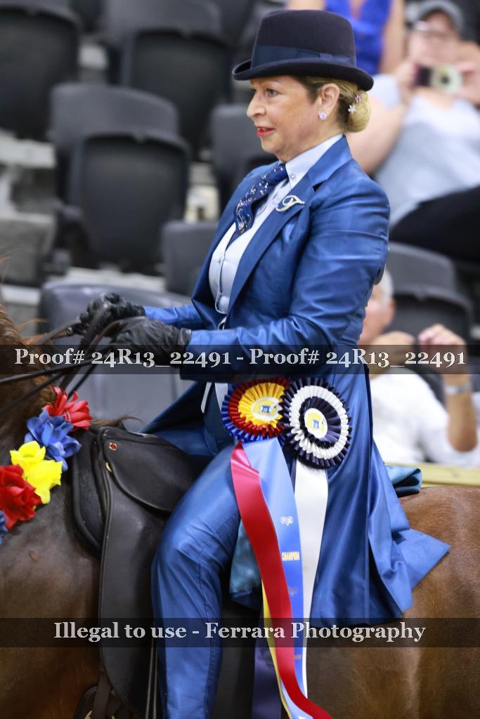 Proof 24R13_22491