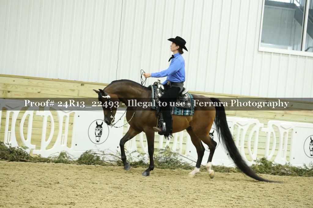 Proof 24R13_22493