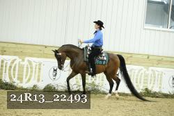 24R13_22493 proof