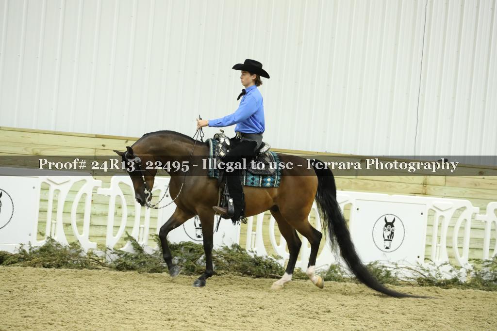 Proof 24R13_22495