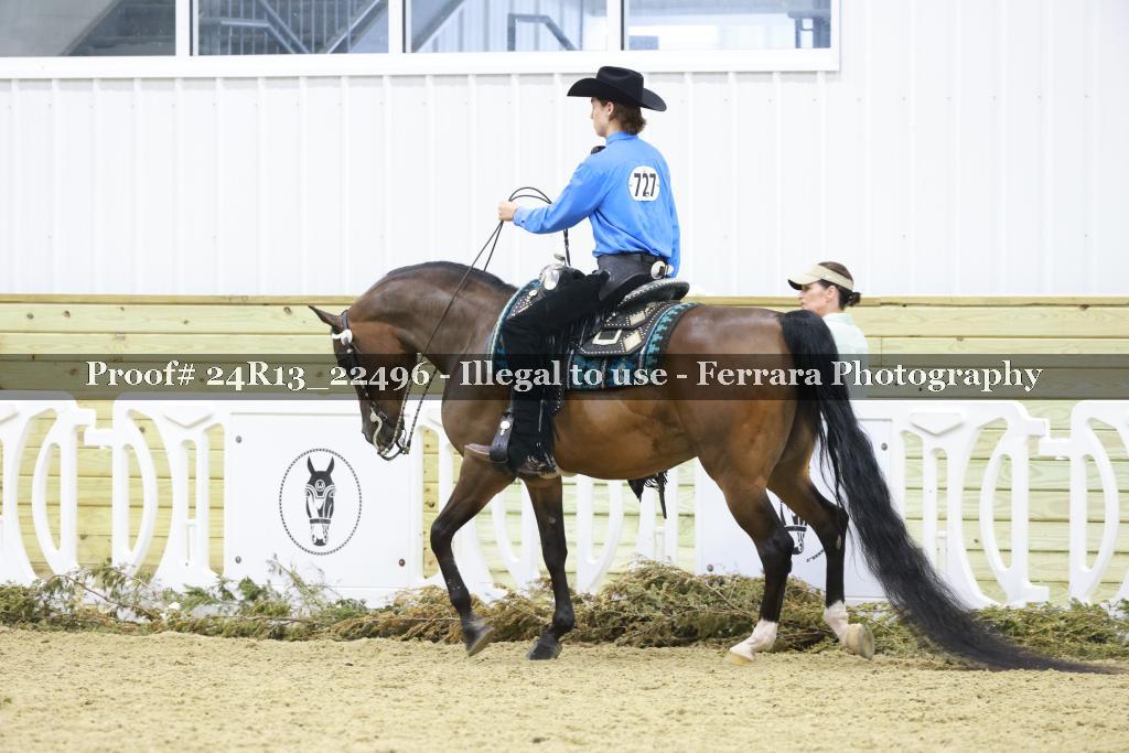 Proof 24R13_22496