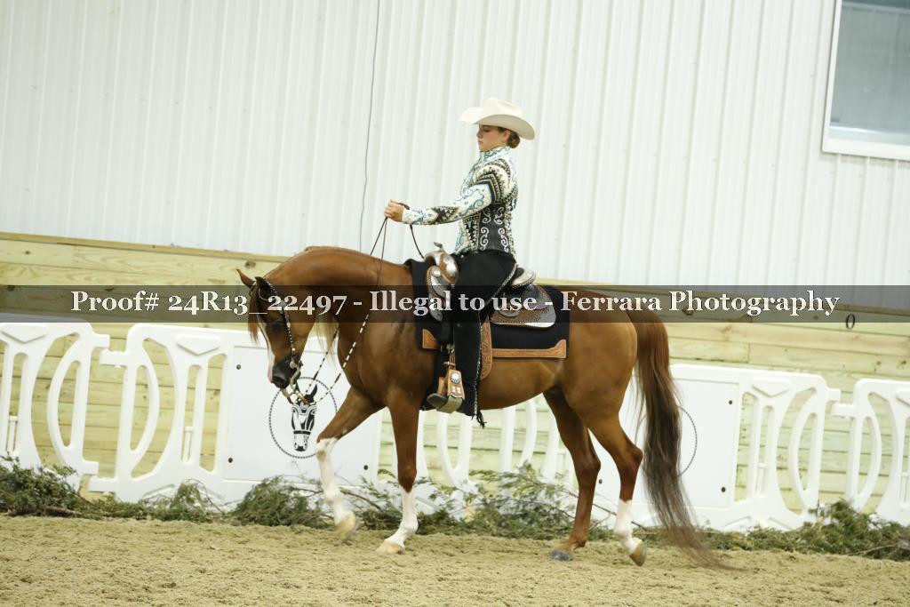 Proof 24R13_22497