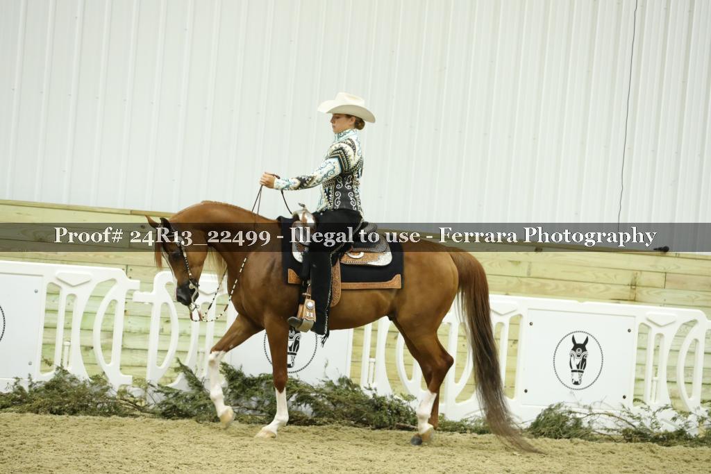 Proof 24R13_22499