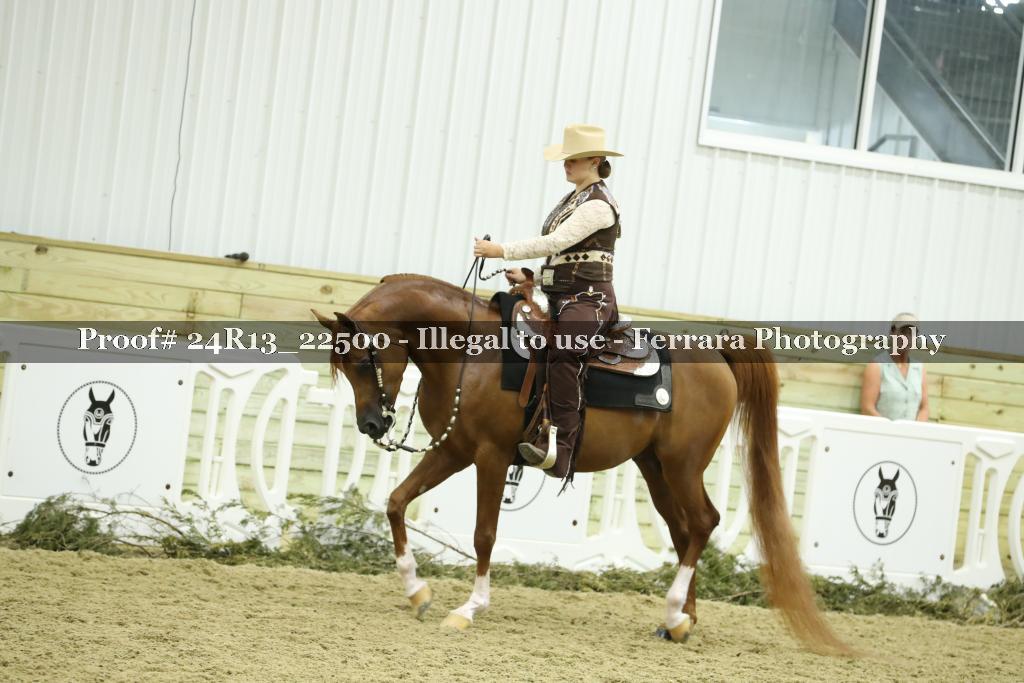 Proof 24R13_22500