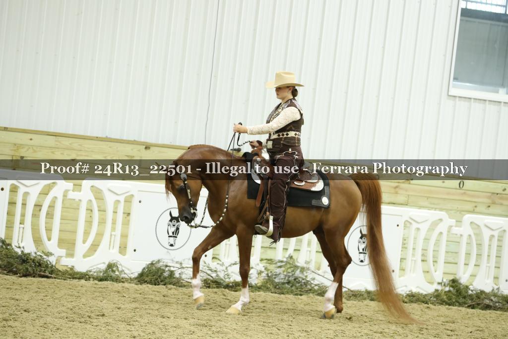 Proof 24R13_22501