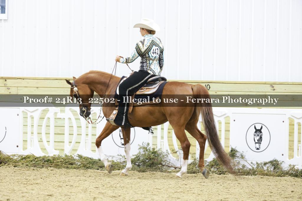 Proof 24R13_22502