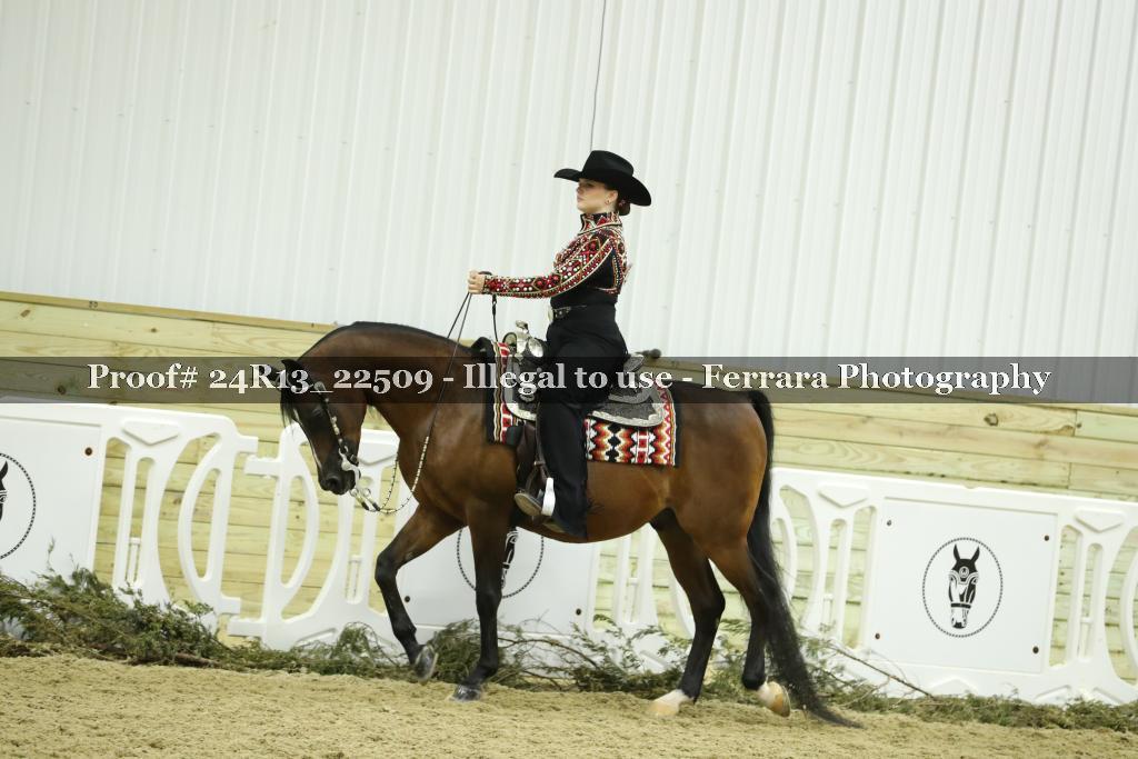 Proof 24R13_22509