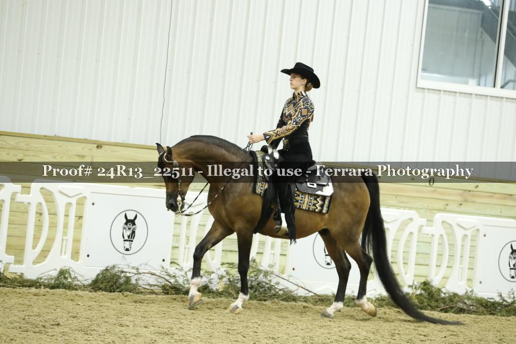 Proof 24R13_22511