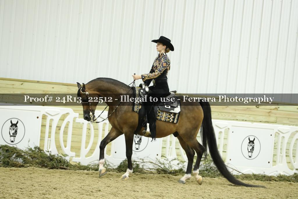 Proof 24R13_22512