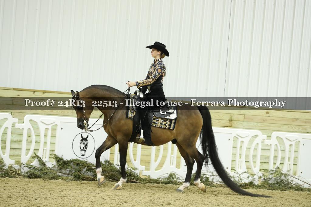 Proof 24R13_22513