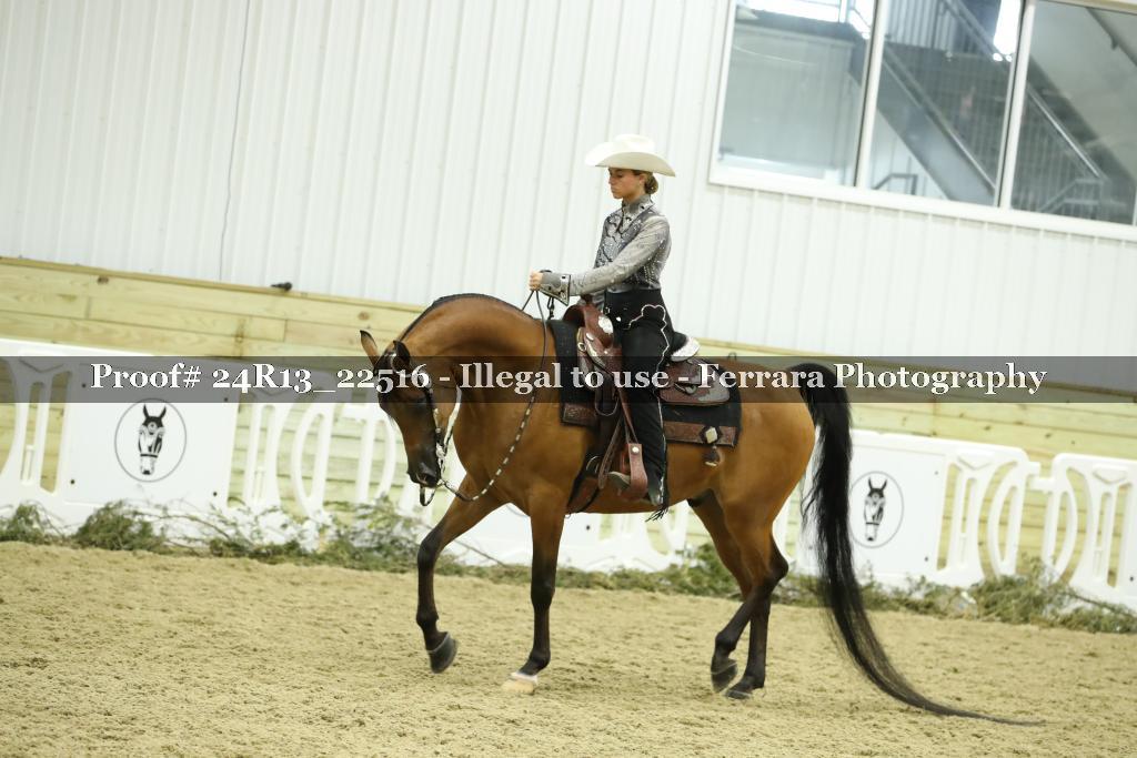 Proof 24R13_22516