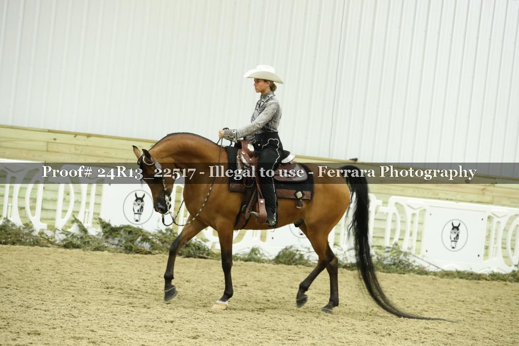 Proof 24R13_22517