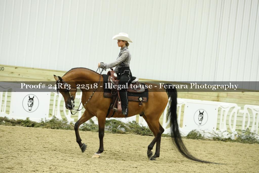 Proof 24R13_22518