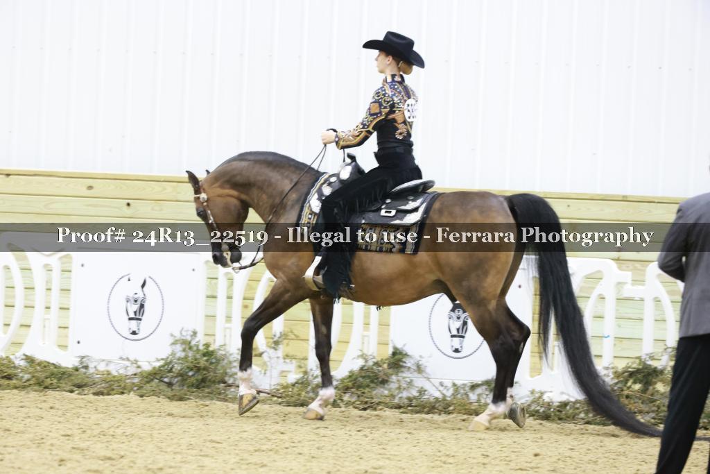 Proof 24R13_22519