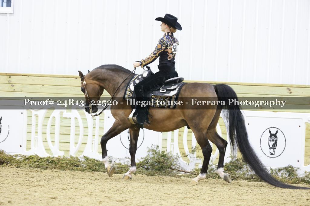 Proof 24R13_22520
