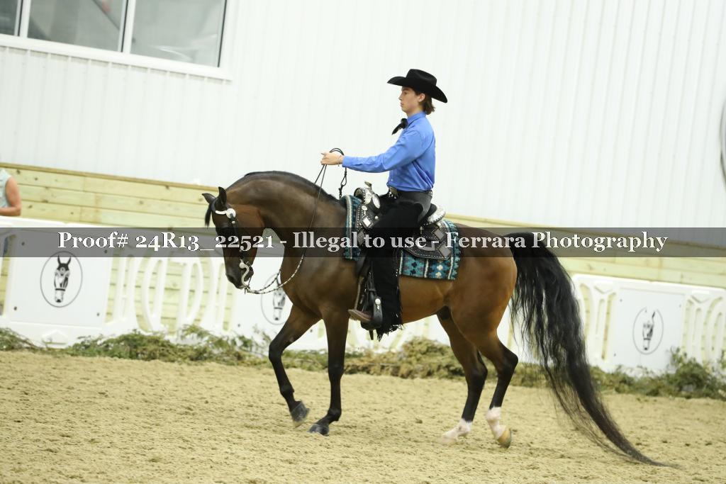 Proof 24R13_22521