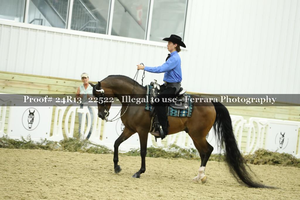Proof 24R13_22522