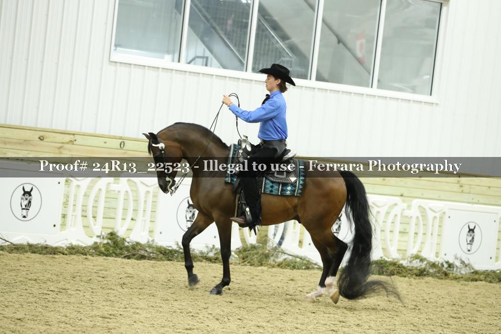 Proof 24R13_22523