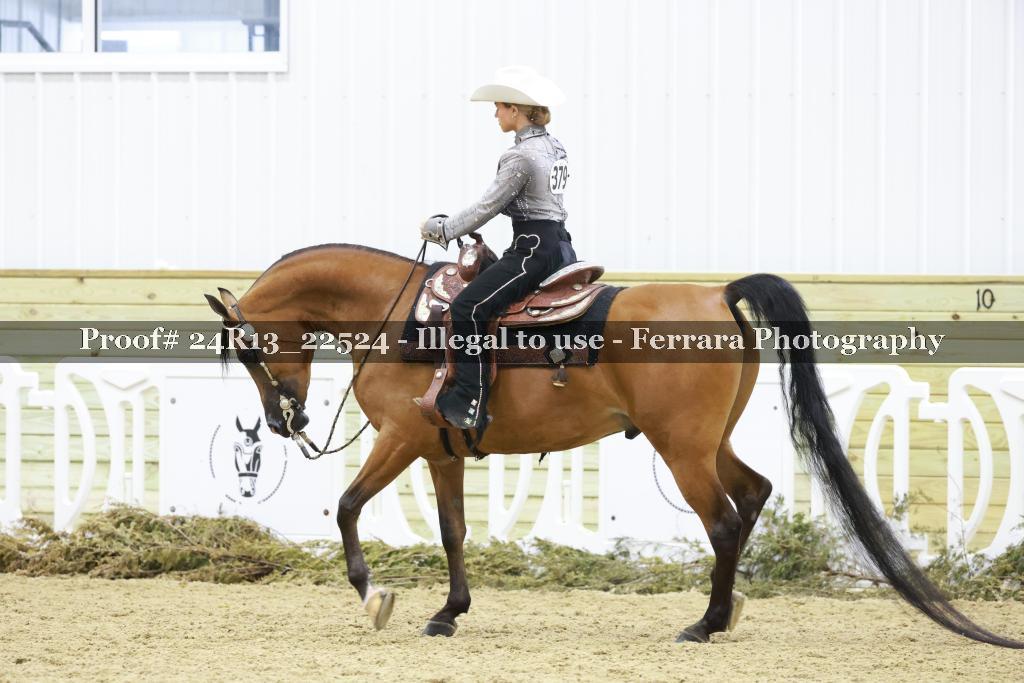 Proof 24R13_22524