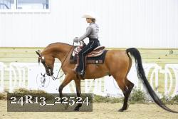 24R13_22524 proof