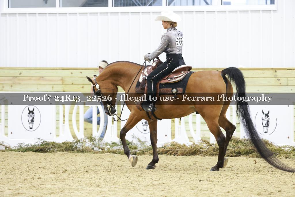 Proof 24R13_22526