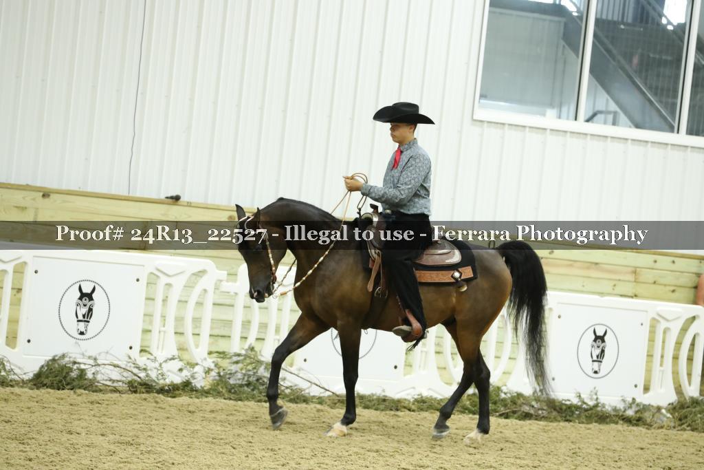 Proof 24R13_22527