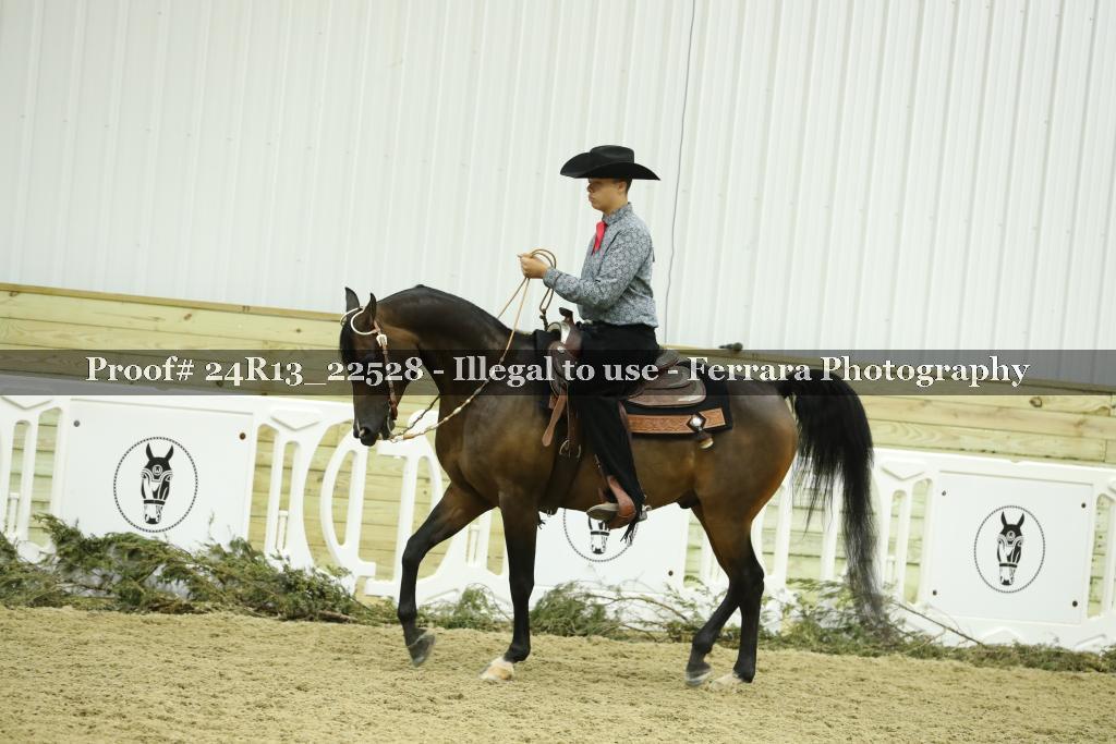 Proof 24R13_22528