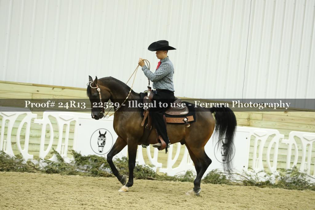 Proof 24R13_22529