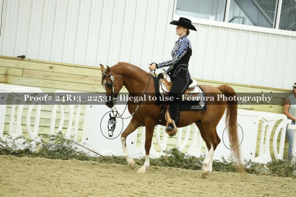 Proof 24R13_22531