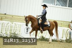 24R13_22531 proof