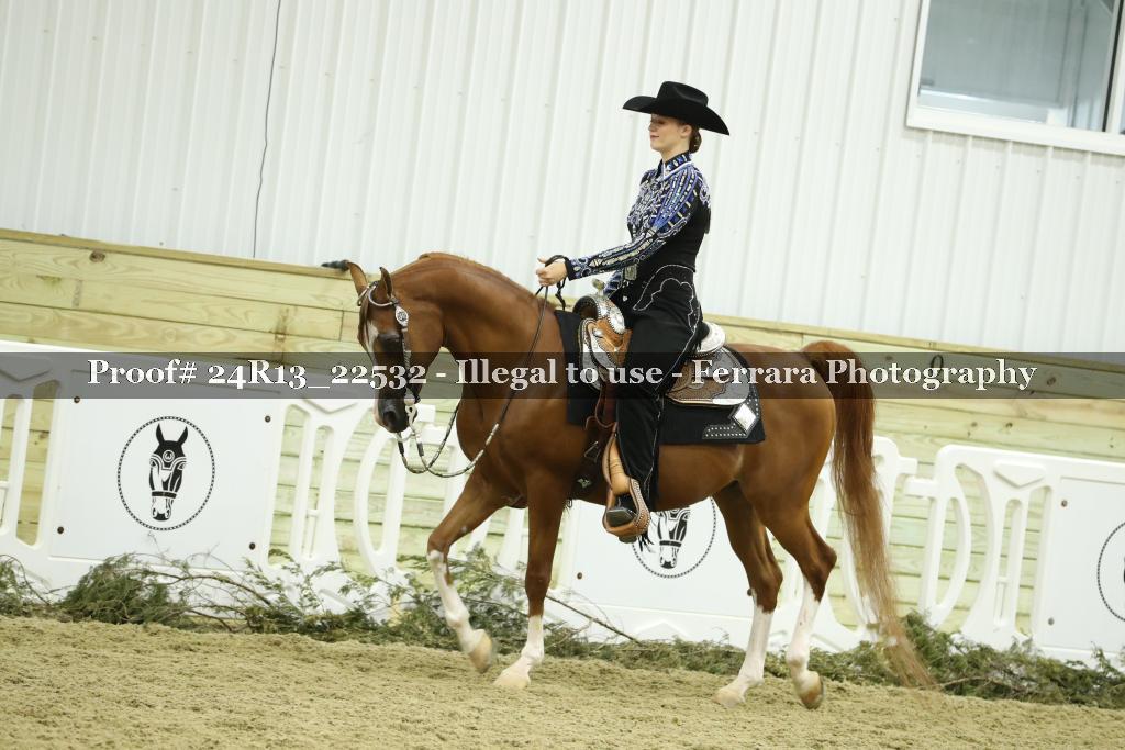 Proof 24R13_22532