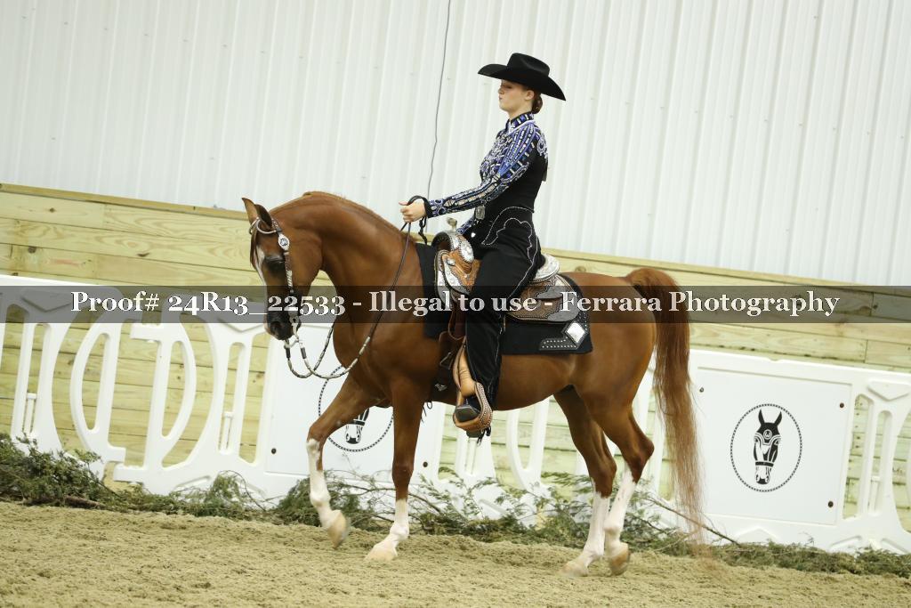 Proof 24R13_22533
