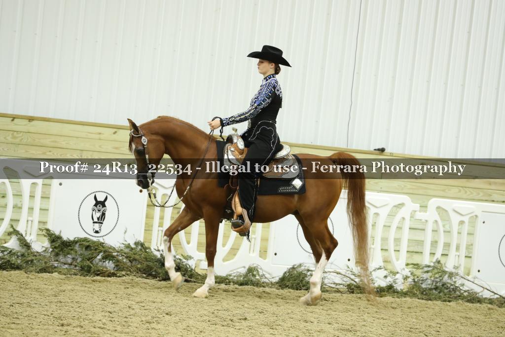 Proof 24R13_22534
